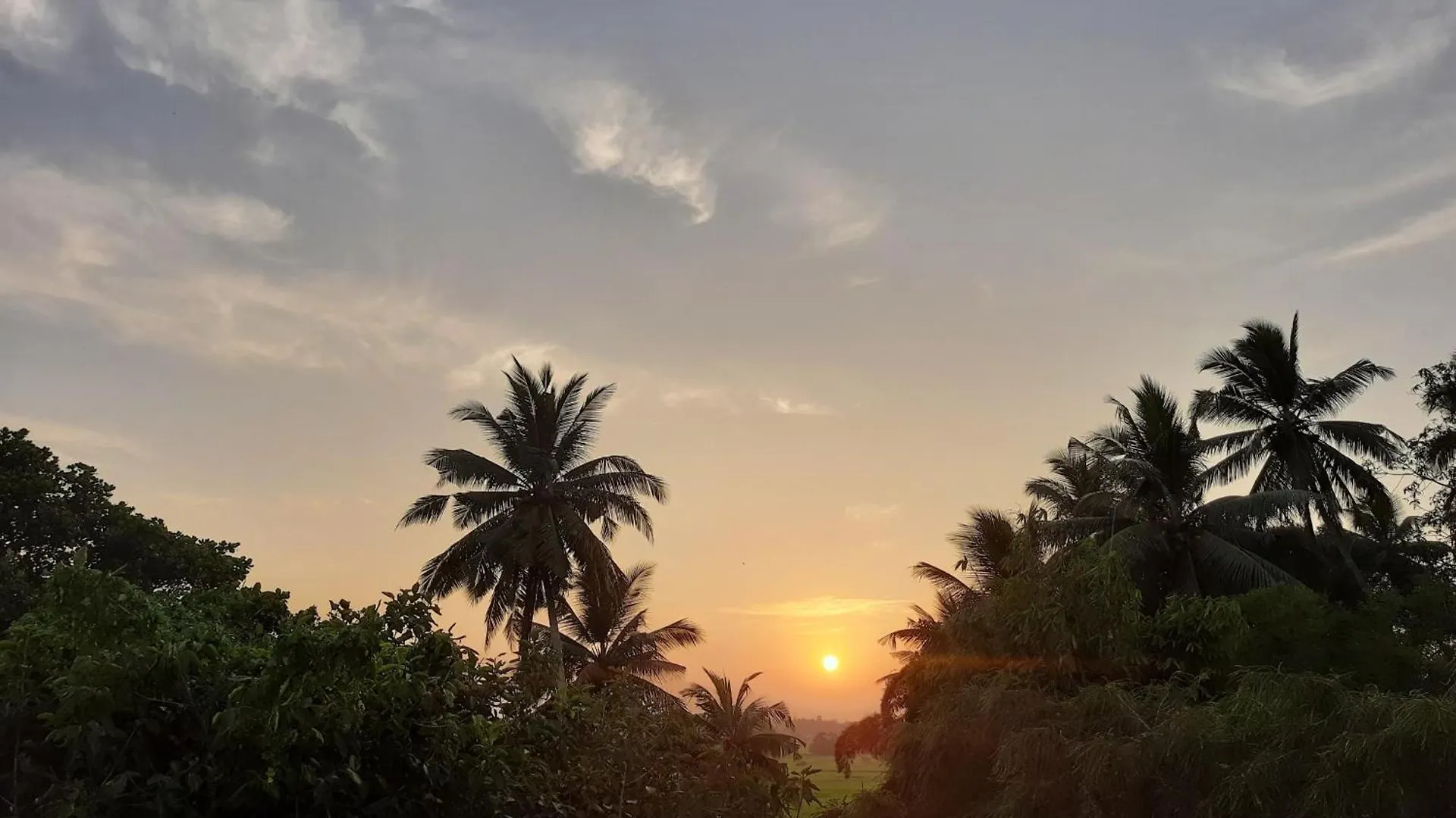 Love hotel Field View Hotel Minuwangoda Sri Lanka
